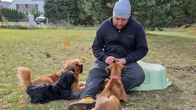 Projekt Futro - szkolenie psów Wrocław